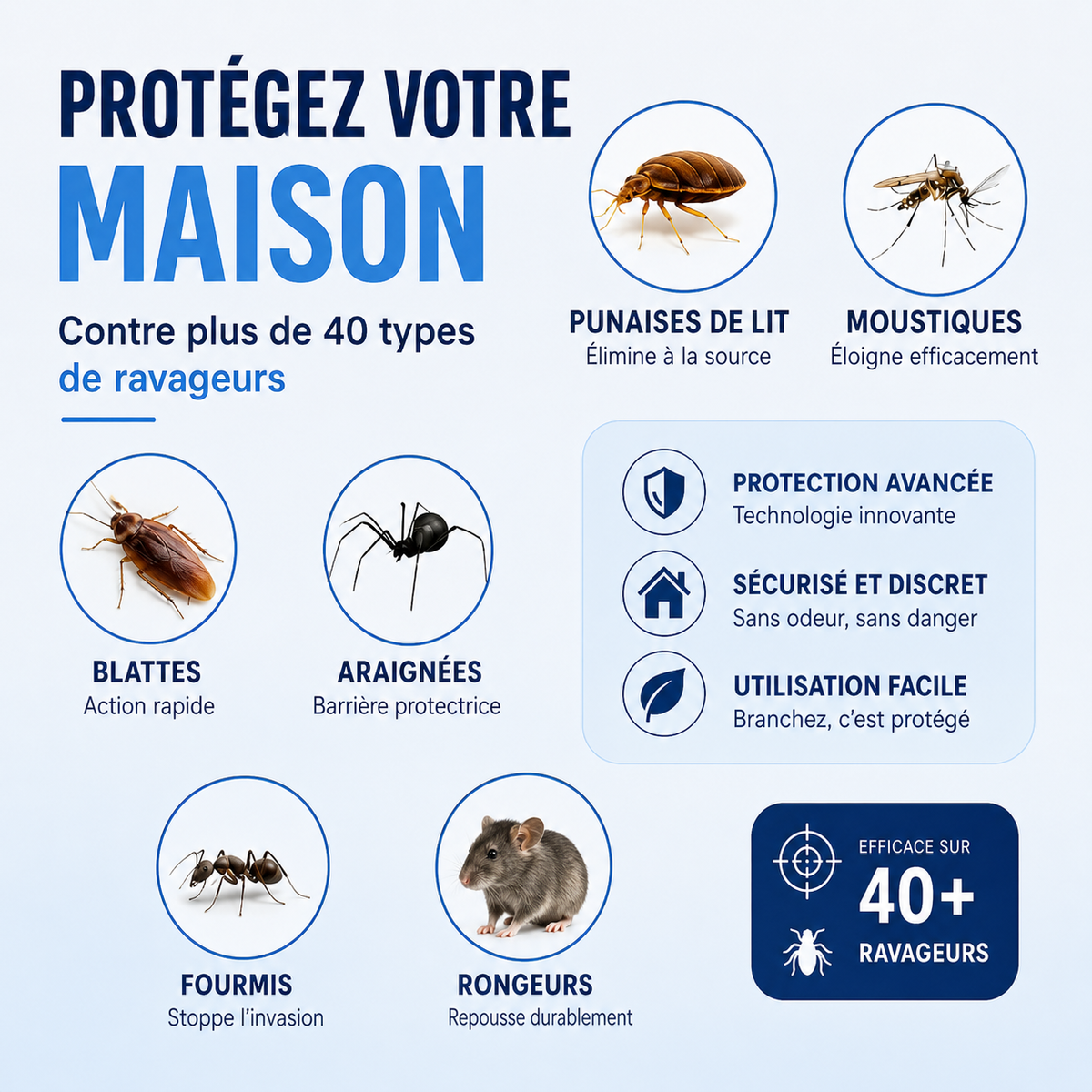 Fini les Cafards dans votre Maison — Sans Produits Chimiques