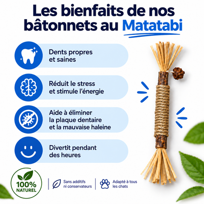 Bâtonnets Dentaires au Matatabi pour Chats — Pawsial™