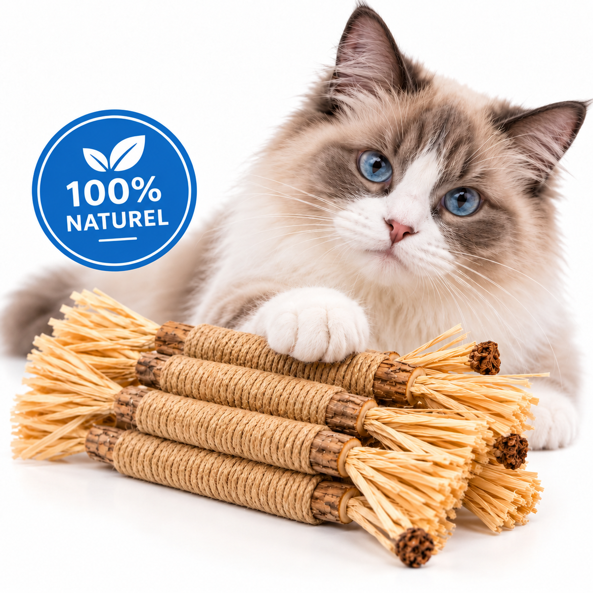 Bâtonnets Dentaires au Matatabi pour Chats — Pawsial™