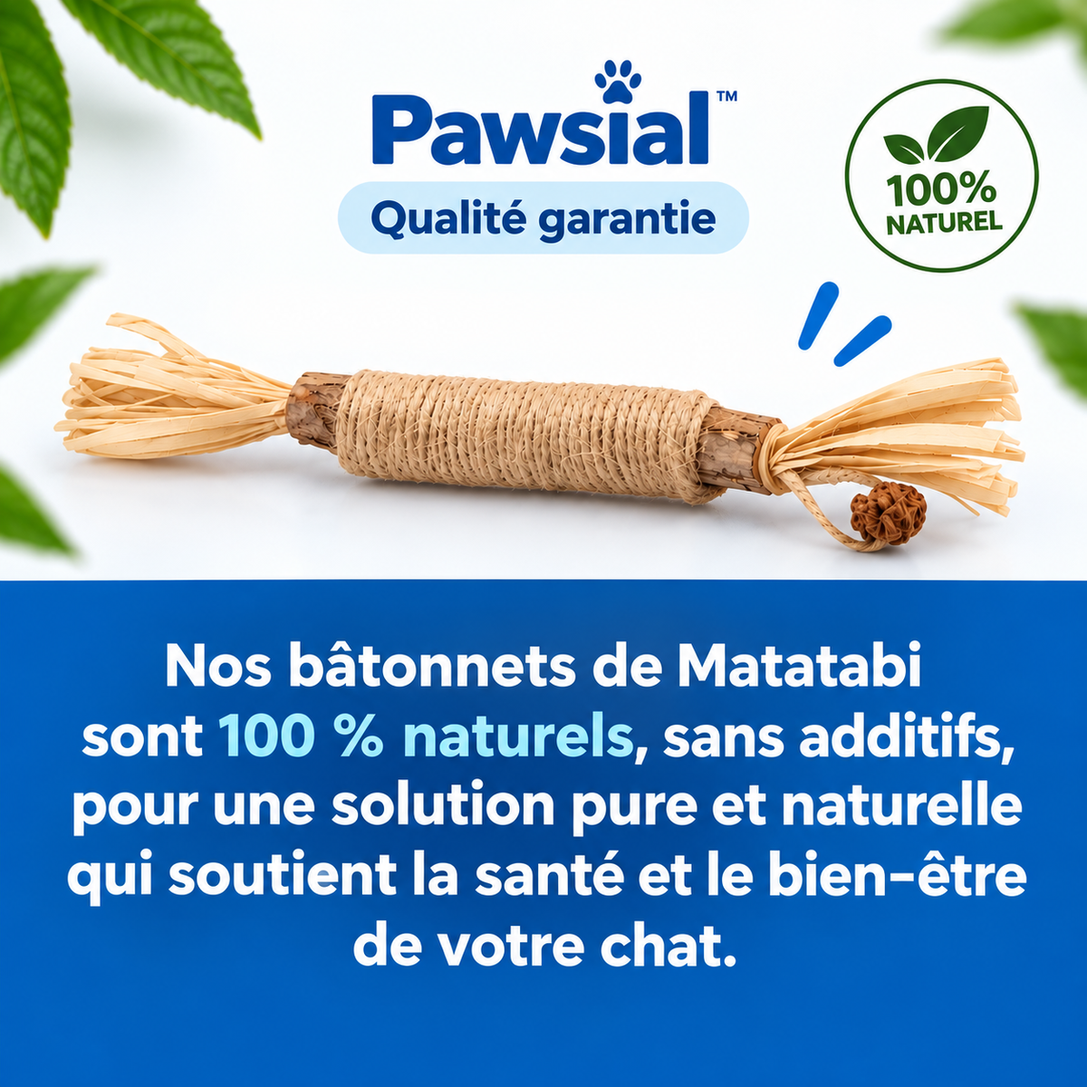 Bâtonnets Dentaires au Matatabi pour Chats — Pawsial™