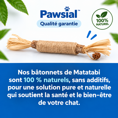 Bâtonnets Dentaires au Matatabi pour Chats — Pawsial™
