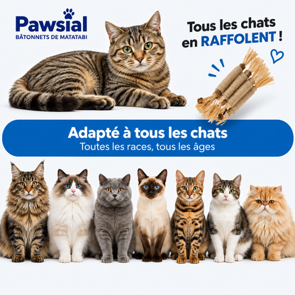 Bâtonnets Dentaires au Matatabi pour Chats — Pawsial™