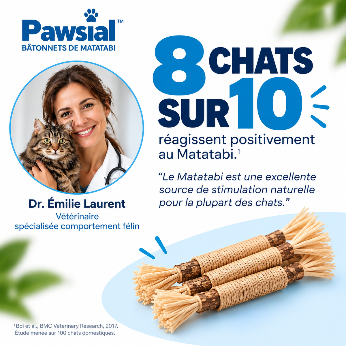 Bâtonnets Dentaires au Matatabi pour Chats — Pawsial™