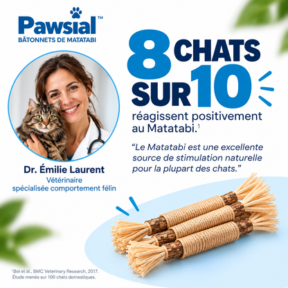 Bâtonnets Dentaires au Matatabi pour Chats — Pawsial™